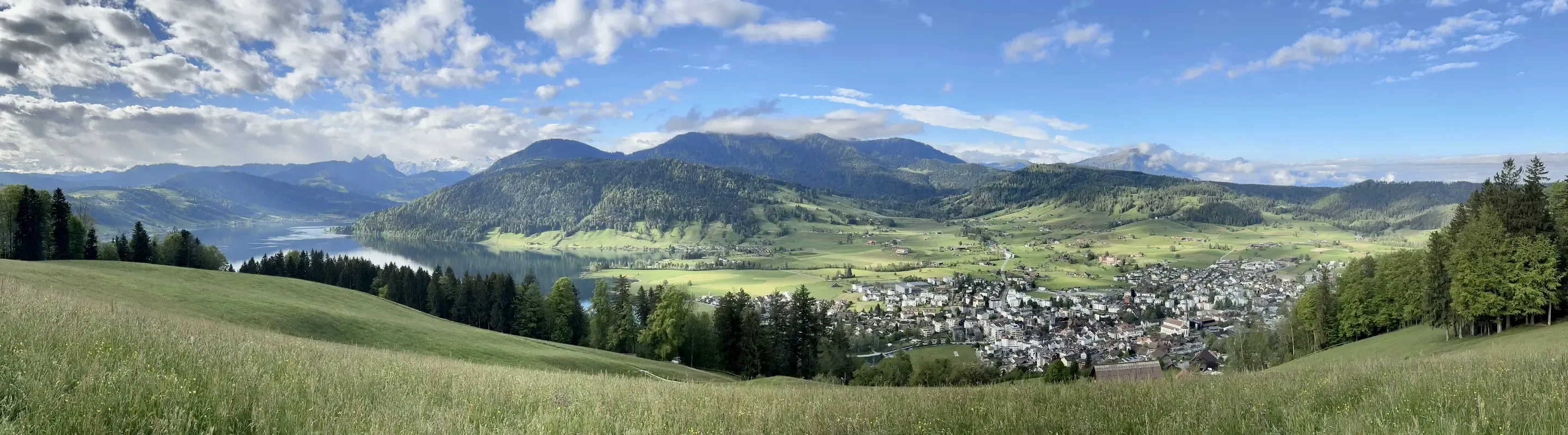 Panorama view of the Ägeri valley. The village sits on the right and the lake on the left. Lots of light green pastures and dark green forested hills. The sky is blue with white clouds.