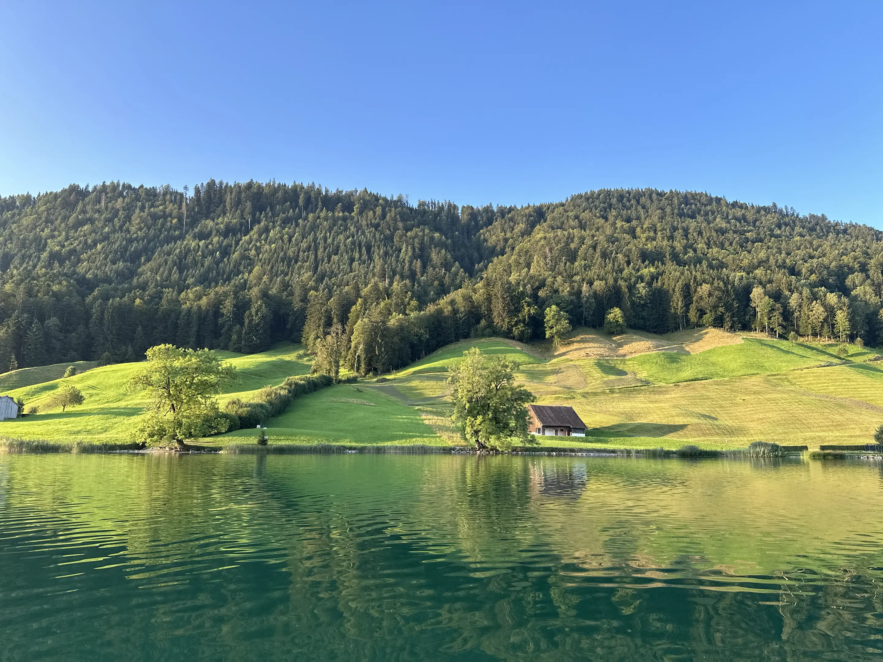 View of green hills taken from the middle of a lake. The hills are partly light green pasture and partly dark green forest and are illuminated by the morning sun. The photo is processed so that the colors are bright and the right half seems dull and drab by comparison.