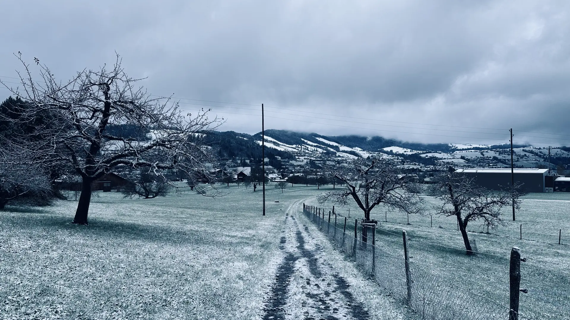 Bleak landscape photo of a trail through farm fields between three leafless fruit trees. Light snow is scattered on the ground, but you can still see the grass. Snow-covered hillsides can be seen in the distance where not obscured by low-lying clouds.