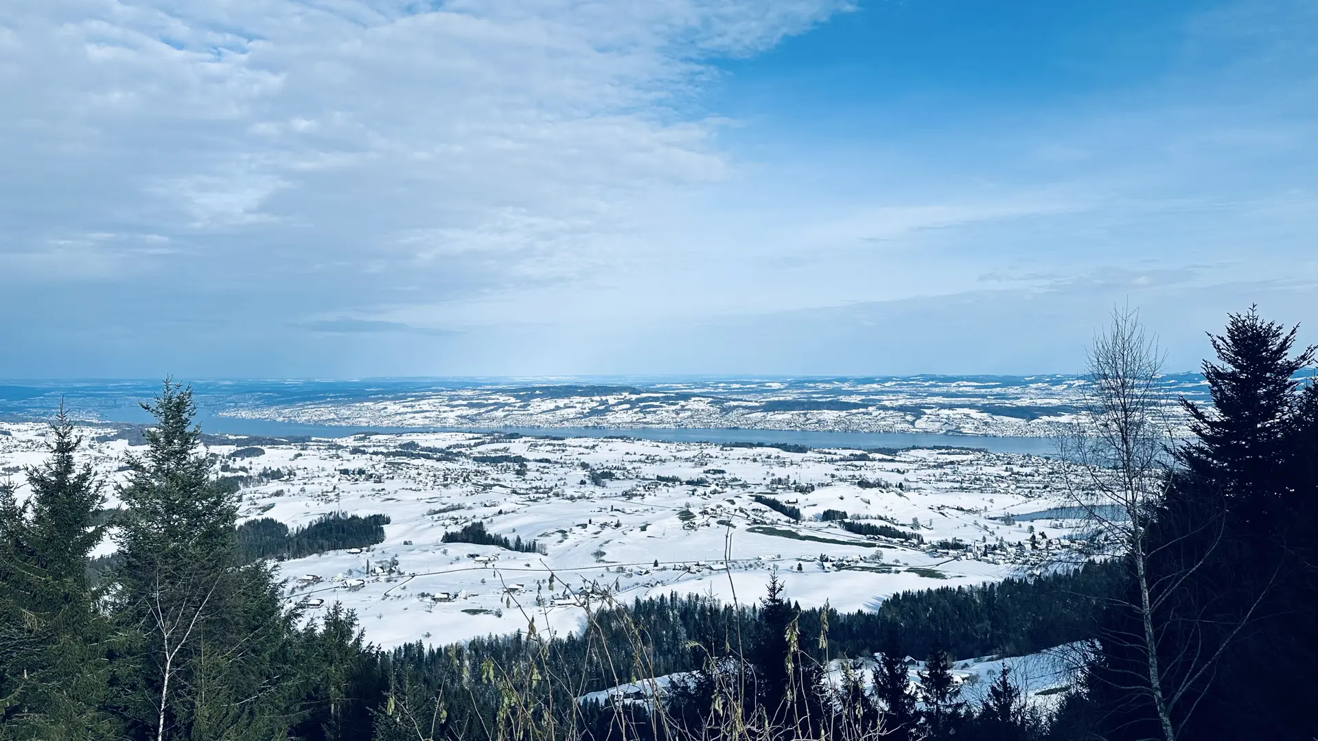 View from a lookout point of snow-covered lowlands with a narrow blue lake in the distance (lake Zürich) under a blue sky with white clouds.