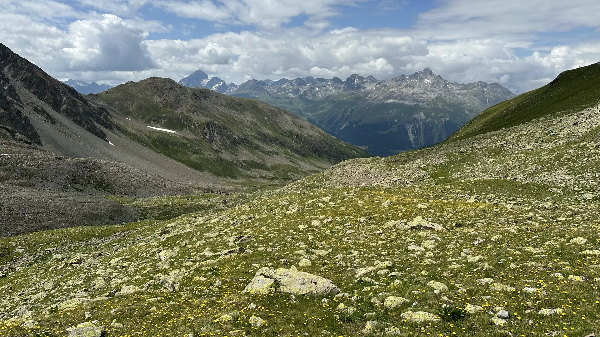 View of high alpine valley with mountains in the distance. The foreground is low green vegetation mixed with stones and speckled with small yellow flowers.