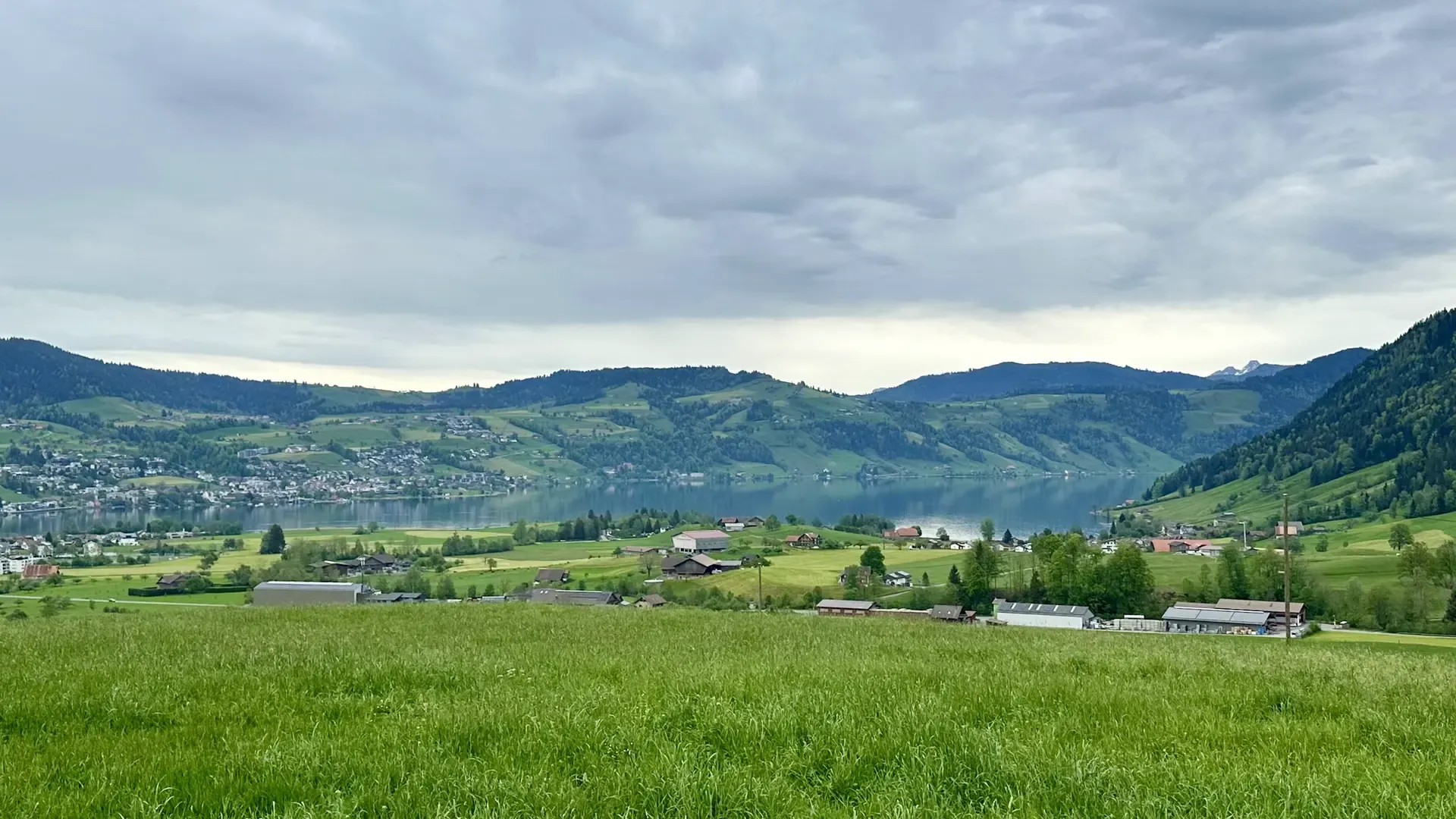 View of Ägeri valley and its lake. Light green pastures are in the foreground with darker green hills in the background. The sky is completely overcast.