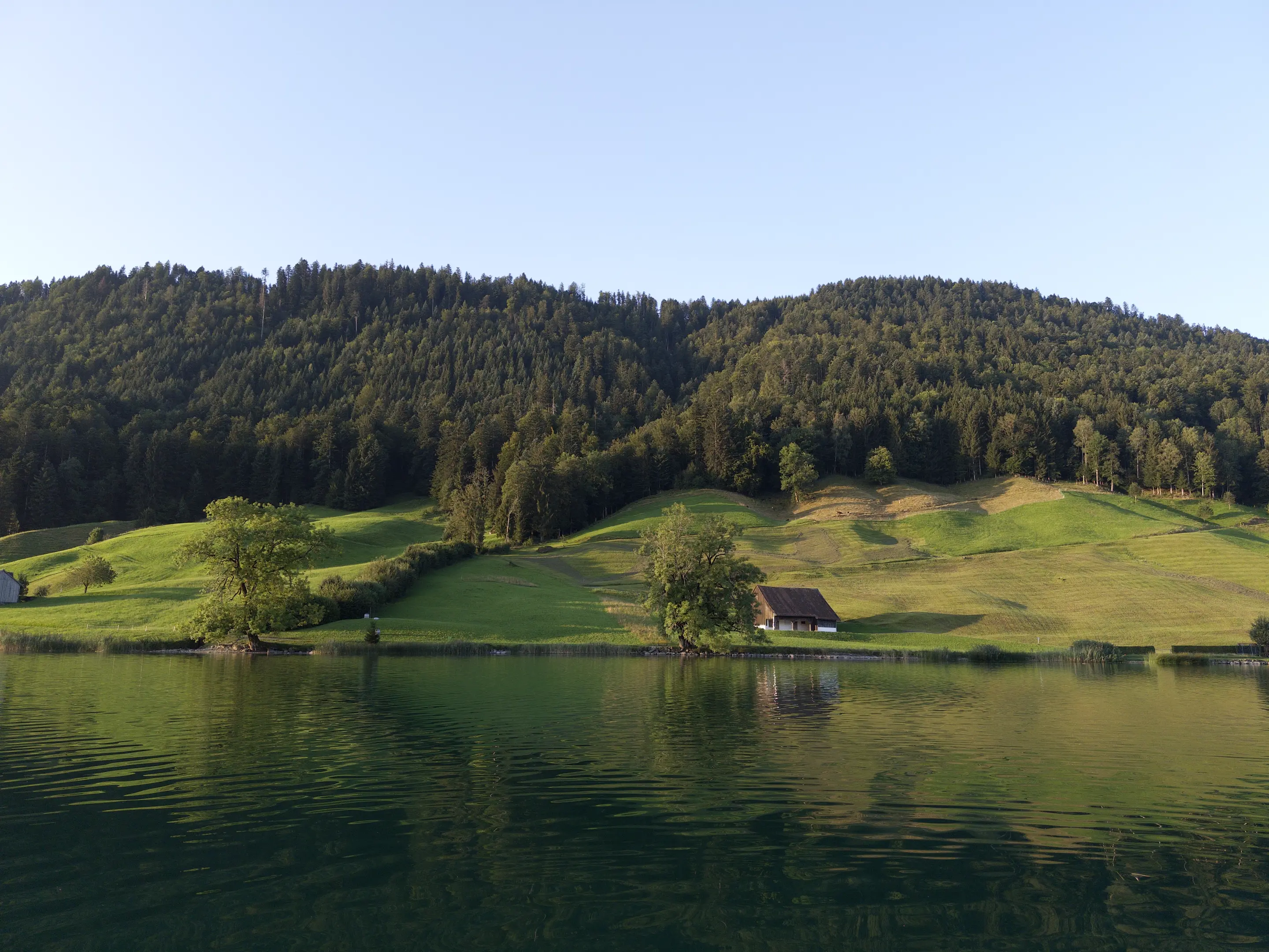 View of green hills taken from the middle of a lake. The hills are partly light green pasture and partly dark green forest and are illuminated by the morning sun. The photo is processed so that the colors seem dull and drab by comparison to the previous photo.