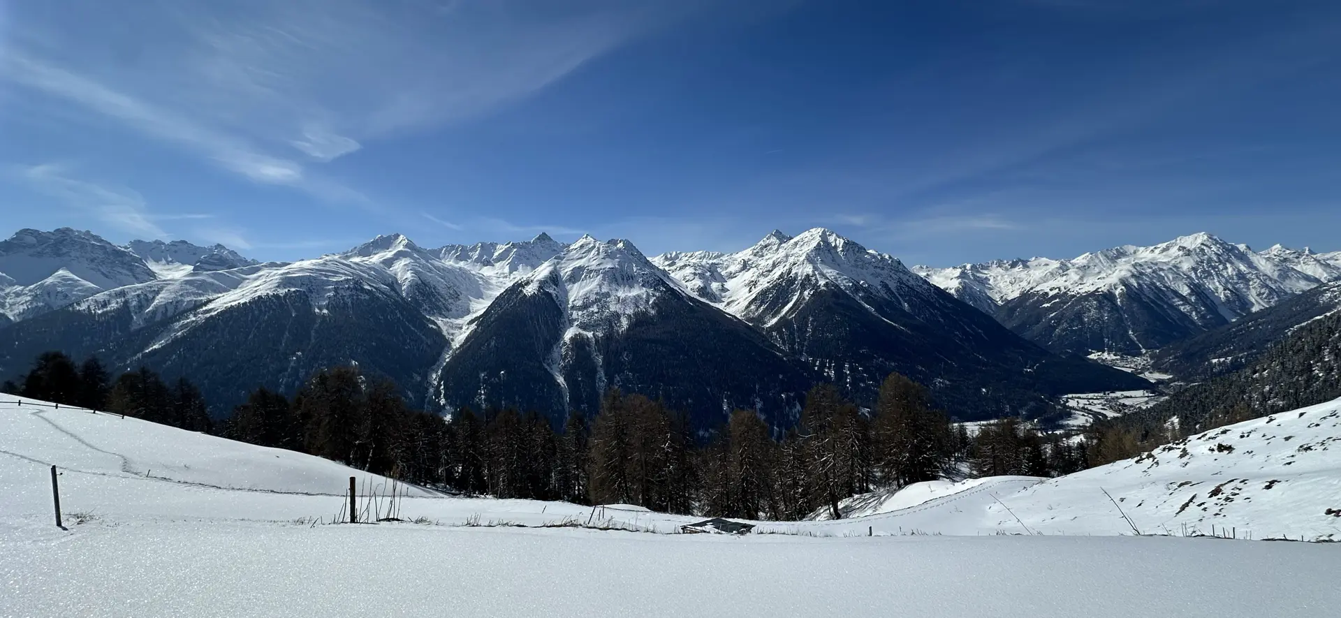 Panorama view of the snow-capped peaks of (from left to right) Piz Sursass, Piz Giarsinom, Piz Mezdi, and friends seen from the snowy pastures of Alp Sura at 2125m.