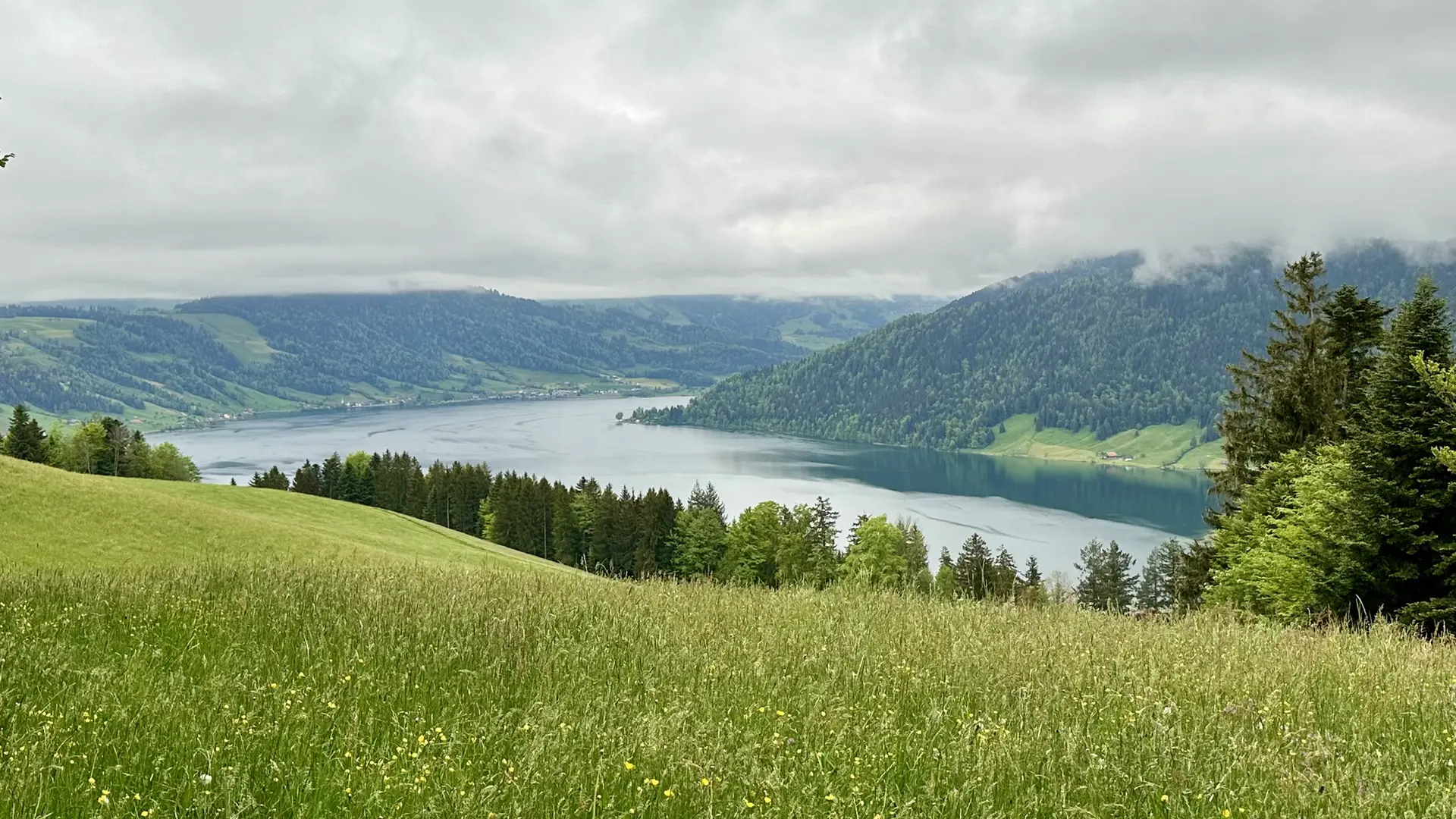 View of a lake on an overcast day. Green pasture dotted with yellow flowers is in the foreground and dark green forested hills in the background. The sky is completely covered in clouds.